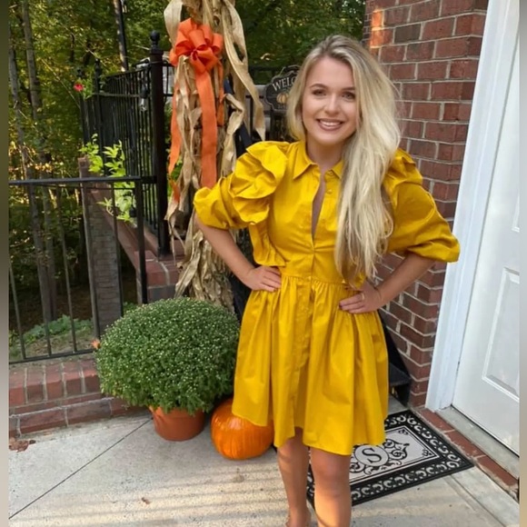 Zara Dress - Picture 1 of 4